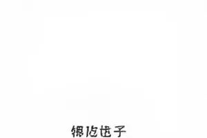 旧闻索引封面：历史事件按年份归档的检索视图